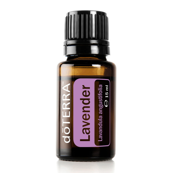 dōTERRA Lavendel – Lavandula angustifolia – Lavender