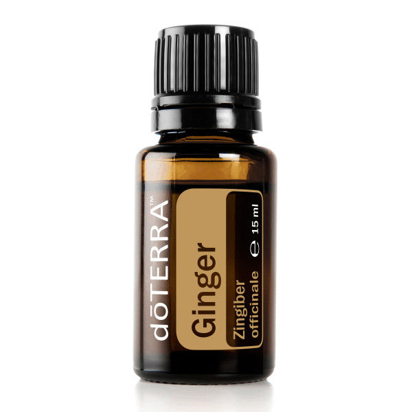 doTERRA Ginger - Ingwer 15 ml