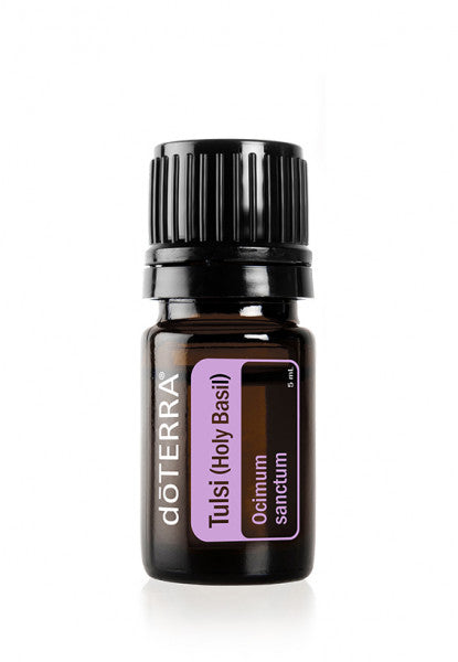 dōTERRA Tulsi (Heiliges Basilikum) 5ml