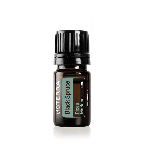 doTERRA Black Spruce - Schwarzfichte 5 ml